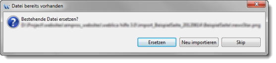 Import_Datei_bereits_vorhanden.png